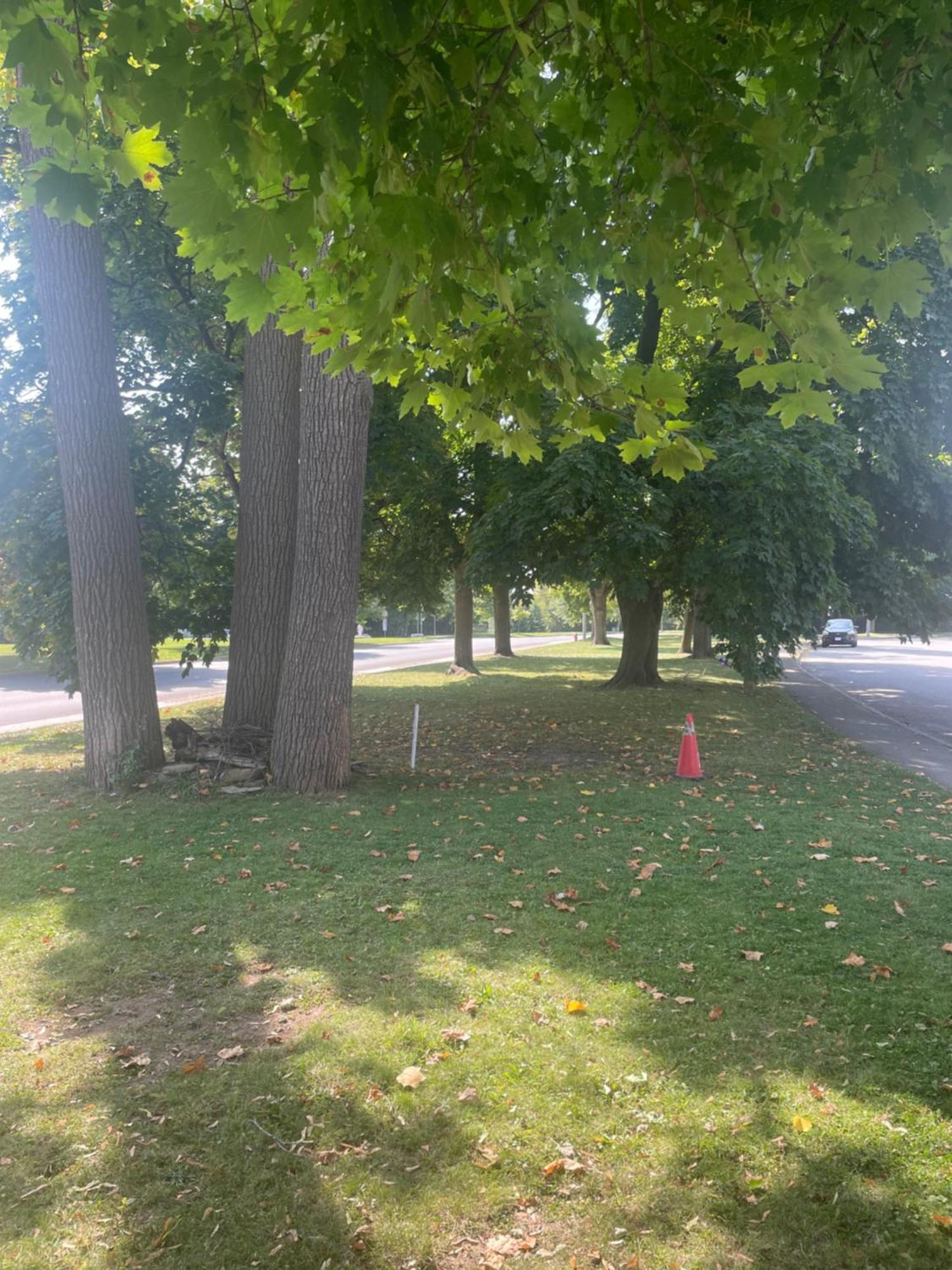 Peaceful Residence On Palmer Ave - Close To The Falls & Complimentary Breakfast Delivered Daily To The Rental Niagara Falls Exterior photo